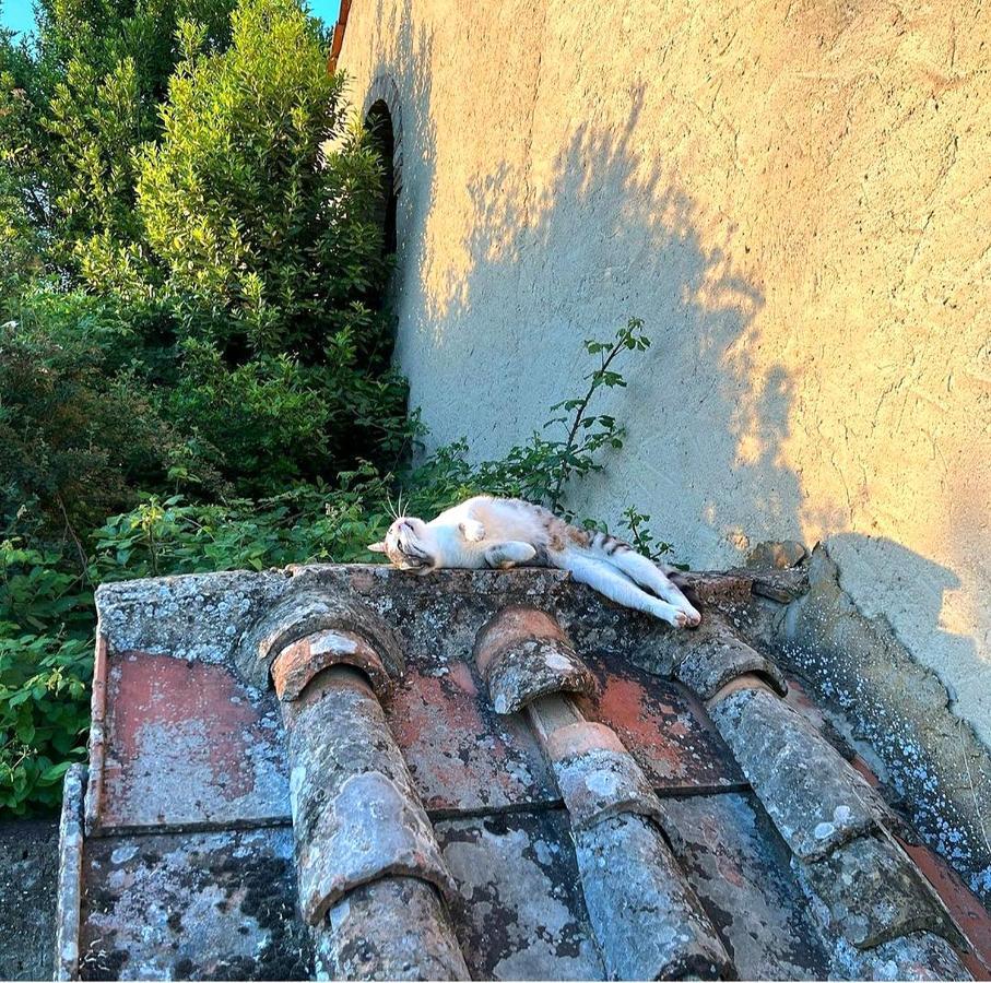 La Volpaia 1521 Villa Barberino di Val dʼElsa Exterior foto
